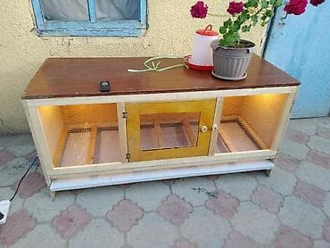 инкубатор курицы: Готовое решение! Брудер Цыплятам, Брудеры Суточным, кучинские — 4