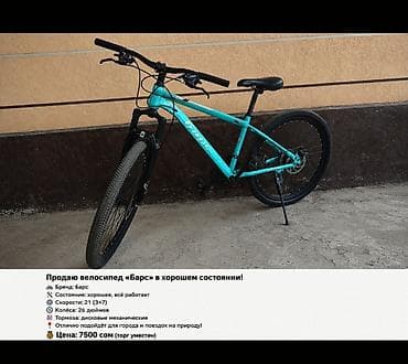 Горный велосипед, Барс, Сталь