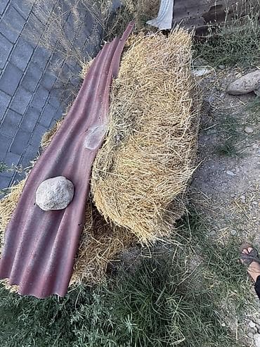 Упаковочные товары: Саман сатылат Бишкек 4тук бар 190сомдон Тюк соломы - Натуральная — 3