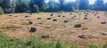 Сено в туках нижний СЭЗ, спутник - Заготовка с открытого луга, сухое at lalafo.kg Сено в туках нижний СЭЗ, спутник - Заготовка с открытого луга, сухое