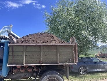 продается лошадь: В тоннах, Бесплатная доставка, Зил — 4