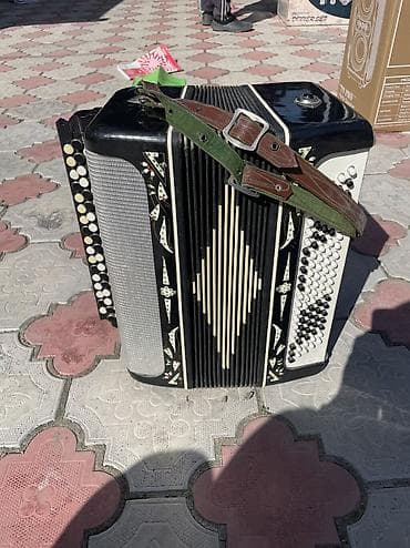 Баяндар: Баян кнопочный, двухрядный справа и многорядный слева. Корпус черный с — 2