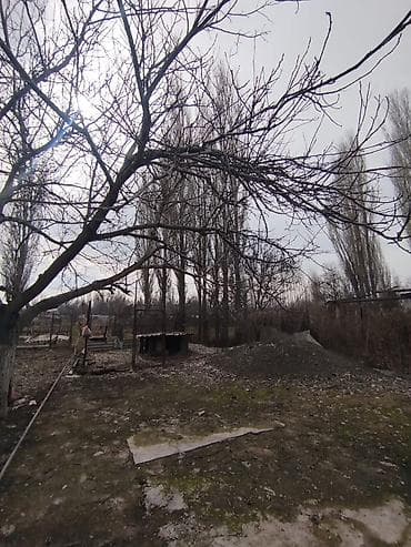 красная речка кыргызстан: Продается дом в г.Кара балта 17,5 соток. Документы в порядке, всё — 10