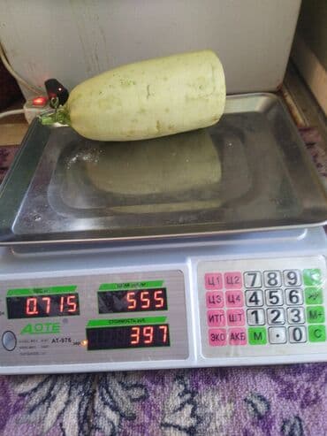 куханные весы: Продаю весы состояние очень хорошее с 5 гр. до 40 кг. с кленкой — 2