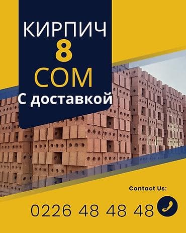 весы кухоные: Пустотелый, дырчатый, Жженый кирпич, Одинарный, 250×120×65 — 1