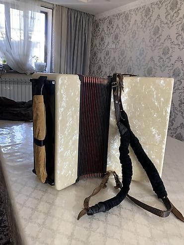 Музыкальные инструменты: Аккордеон Weltmeister - Немецкий аккордеон клавишно-кнопочного типа — 1