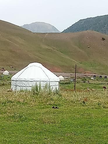 Приглашаем вас отдохнуть от жары и проблем в зеленом лугу в ущелье — 8