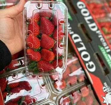 Үтүктөөчү такталар: Кулпунай Чекене — 1