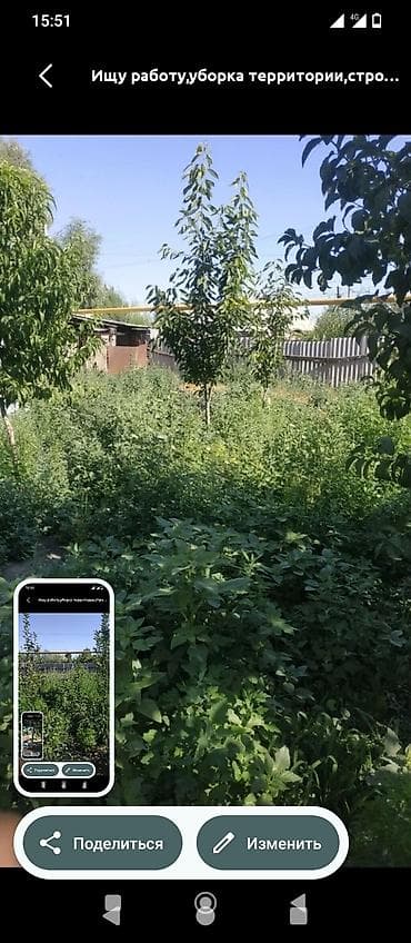 Уборка территории, Уборка двора и сада at lalafo.kg Уборка территории, Уборка двора и сада