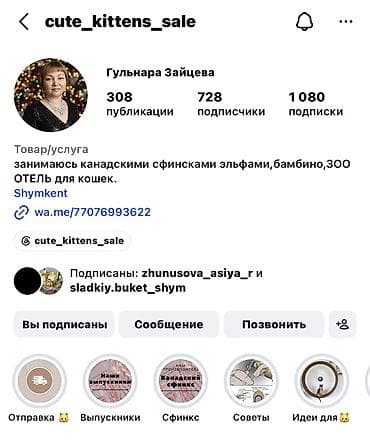 Продажа кошек: Сфинкс, 2 месяца, Девочка, Приучена к лотку — 3