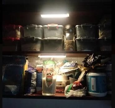 фонари с датчиком движения: Новый 50см
с датчиком даижения
Крепится на магниты 

светильник — 7