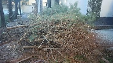 Уход и хранение одежды: Дрова — 2