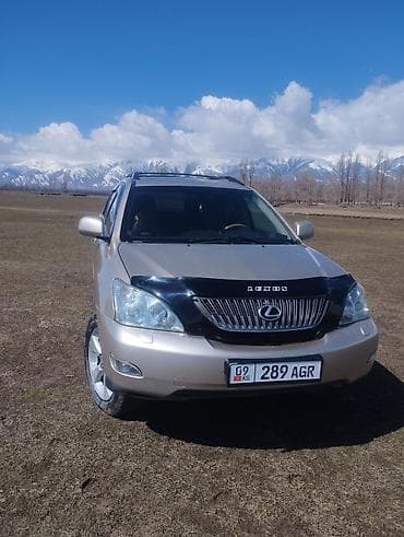 Lexus RX: 2005 г., 3.3 л, Автомат, Бензин, Кроссовер