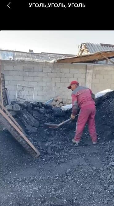 уголь в мешках лебединовка: Көмүр Өзү алып кетүү, Акылуу жеткирүү — 1