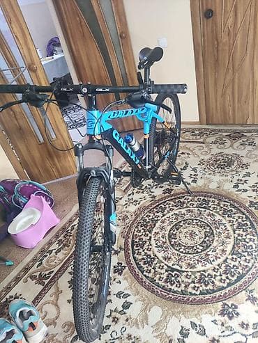 format diski: Горный велосипед, Galaxy, Рама XL (180 - 195 см), Алюминий — 2