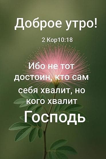Отдам много одежды в хорошем состоянии для мальчика и для девочки до — 1
