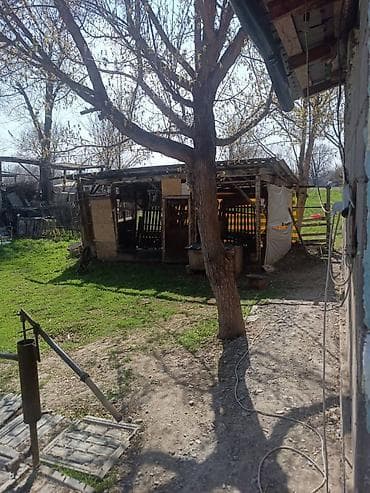 микр восток 5: Кара балта ш. Петропавловка айылынан 2этаж там 6ком. кирип эле жашай — 10