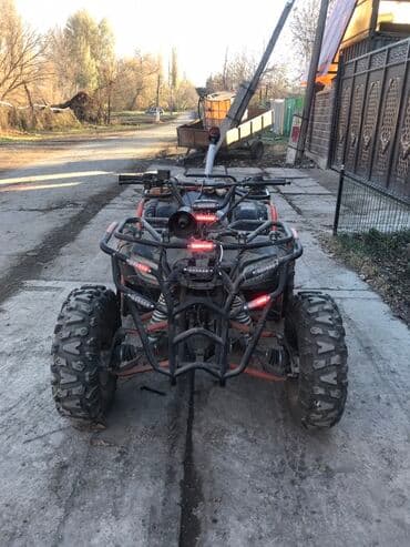 мото квадрацикл: Мощный квадроцикл, предназначенный для передвижения по пересеченной — 4