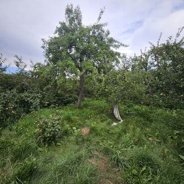 продаю дом бишкек квартира: Дом, 63 м², 6 комнат, Собственник, Старый ремонт — 27