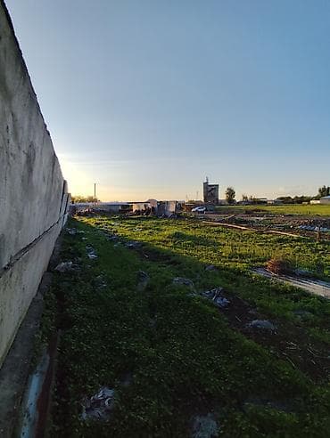 экскурсия в парк: 36 соток, Для строительства, Красная книга — 3