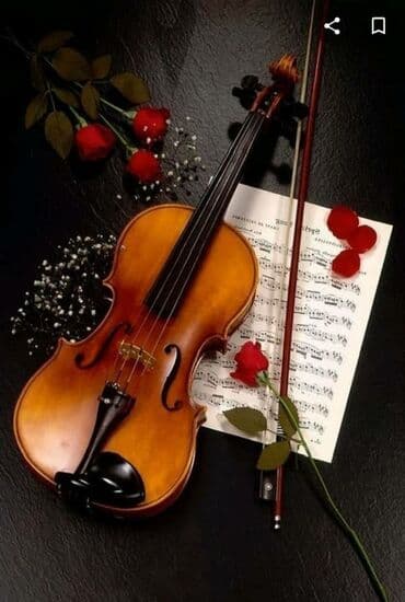 курсы скрипки: Обучаю игре на скрипке, преподаватель с 20 летним стажем. Играю на — 1