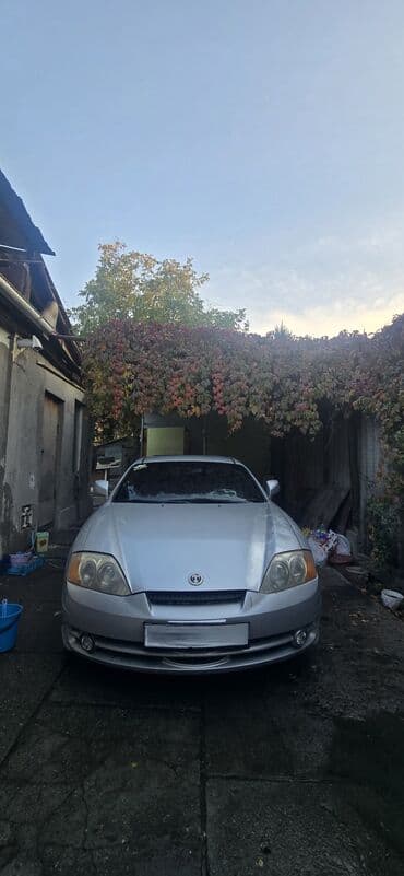 афто дом: Hyundai Tiburon: 2001 г., Купе — 3