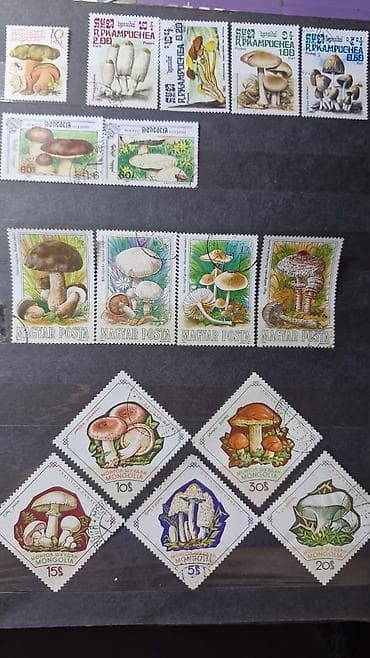 Көркөм өнөр жана коллекциялоо: Коллекция почтовых марок с орнитологической и микологической — 2