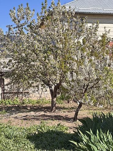 земельный участок воронцовка: 7 соток, Для строительства, Договор купли-продажи, Красная книга, Тех паспорт — 6