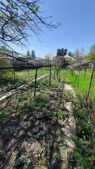 участок аламидин базар: 6 соток, Для строительства, Договор купли-продажи — 8