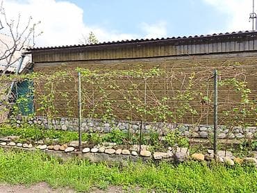 подсобный хозяйства: 4 соток, Красная книга — 8