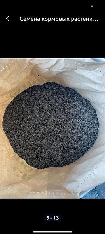 картошка семенная цена: Семена кормовых растений: Люцерна — 2