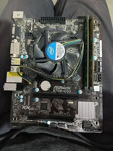 ноуты: Материнская плата для ПК, ASRock, LGA1155, Micro-ATX — 1