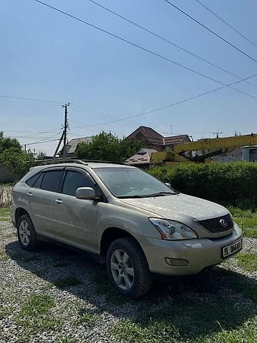 forester 2003: Lexus RX: 2004 г., 3.3 л, Автомат, Бензин, Кроссовер — 2