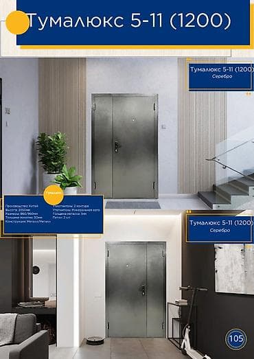 solutions third edition: Двери для домов и квартир, Металлическая, Двухстворчатая, Китайская, цвет - Серебристый — 1