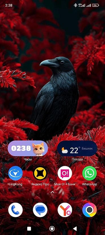 Poco X5 Pro 5G, Б/у, 256 ГБ, цвет - Черный, 2 SIM at lalafo.kg Poco X5 Pro 5G, Б/у, 256 ГБ, цвет - Черный, 2 SIM