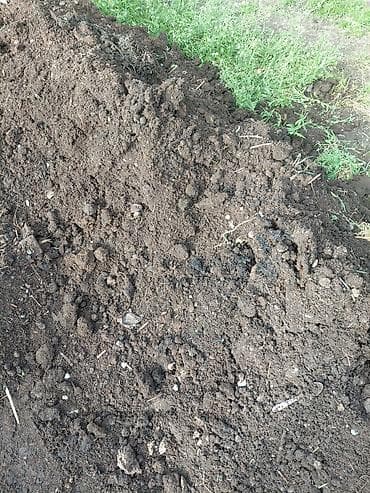 амофос удобрения: Перепревший навоз/компост из хозяйства - Натуральное органическое — 3