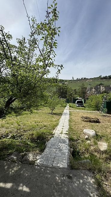 капсула домик: Дачный участок с домом и садом ‼️Район Супары - Просторный зеленый — 4