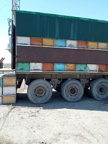 платформа пчеловодная: Передвижной пчелопавильон на базе трехосного полуприцепа Special — 5