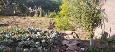 дом бишкек продаю: Дом, 170 м², 8 комнат, Собственник, Косметический ремонт — 14