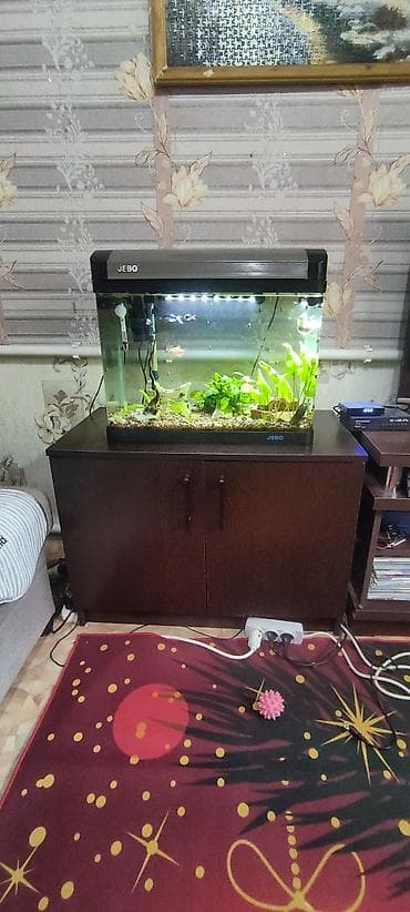 Аквариумы: Аквариумный комплект JEBO с тумбой с рыбками - Объём ориентировочно — 3