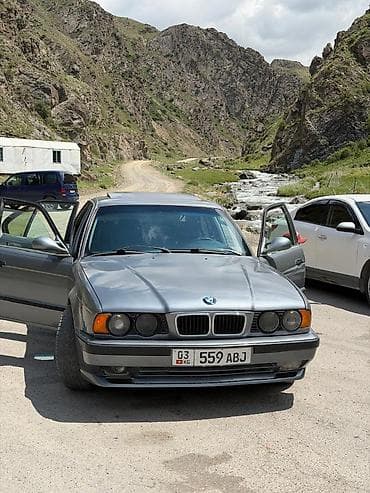 BMW 5 series: 1995 г., 2 л, Механика, Бензин, Седан