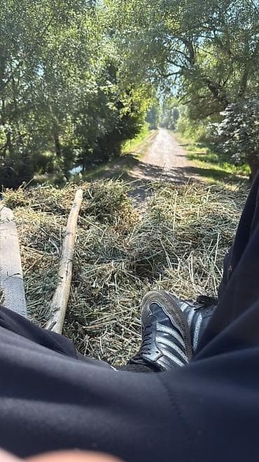 Үй жаныбарлары: Грузим тюки и выгружаем круг 35 сом — 1