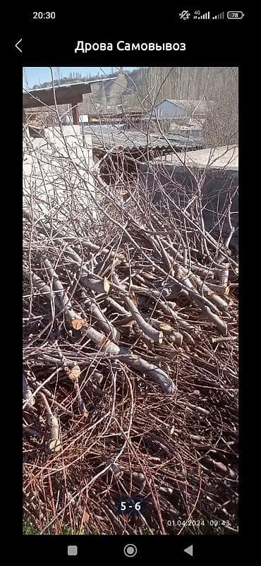 Бекерге отун берилет чырпыктар, Төлөйкөн айылы Ражапова 59а