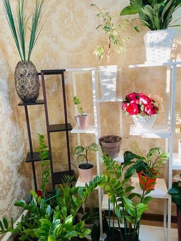 полка для цветок: Цветочница Цветочные полки Цветочные горшки Стеллаж Полки классика — 4