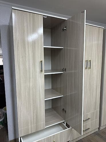 сливы школьниц: Шифоньер, шкаф для одежды, Прямой, ЛДСП — 3