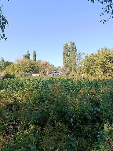 дома сосновка: Продаю дом в селе. Новониколаевка. Жайылкий район, ориентир Сосновский — 9