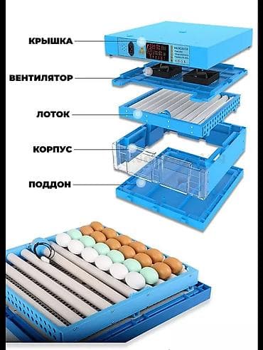 агенство ош: Город Жалал-абад, инкубатор как новый вместимость 64 штук, полный — 2