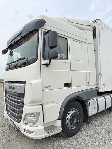 65000: Тягач, DAF, 2019 г., Холодильник, рефрижератор — 4