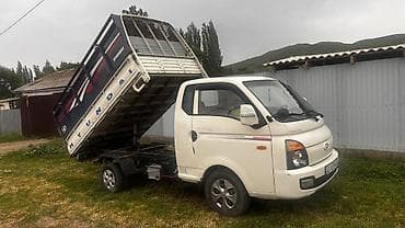 авто палатки: Легкий грузовик, Hyundai, Стандарт, 3 т, Б/у — 8