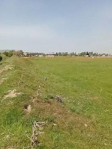 жаны уйлор: 15 соток, Кызыл китеп — 1